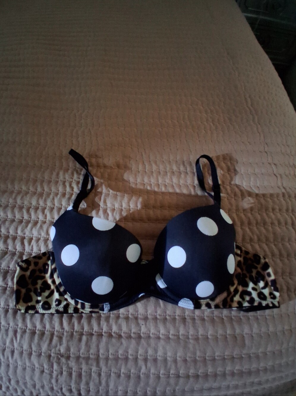 PINK Victoria's Secret Black & White Polka Bra with Leopard Band 34B Pre-owned